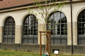 Hessisches Landesamt für Naturschutz, Umwelt und Geologie: Neue Stadtbäume trotzen dem Klimawandel - HLNUG bedankt sich mit Baumspende bei Beratungs-Kommunen