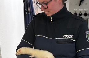 Kreispolizeibehörde Märkischer Kreis: POL-MK: Tierisch viel los - Ente gut, alles gut