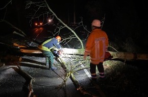 Feuerwehr Flotwedel: FW Flotwedel: PKW kollidiert mit umgestürzten Baum