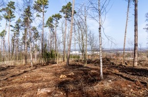 Laverana GmbH: lavera Waldprojekt - 7500 neue B&auml;ume f&uuml;r die Bantorfer H&ouml;h