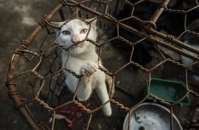 VIER PFOTEN - Stiftung für Tierschutz: VIER PFOTEN schliesst erstmals Katzen-Schlachthaus und -Restaurant in Vietnam