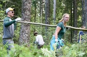 Bergwaldprojekt e.V.: PRESSEMITTEILUNG: Nach Corona-Pause: Das Bergwaldprojekt e.V. wieder im Einsatz für Auerwild und Artenvielfalt in Triberg
