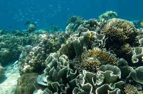 Leibniz-Zentrum für Marine Tropenforschung GmbH: Neue Studie zum Potenzial von alternativen Maßnahmen (OECMs) für den Schutz der Artenvielfalt