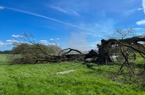 Feuerwehr Flotwedel: FW Flotwedel: Zwei Eins&auml;tze binnen sechs Stunden in Wienhausen