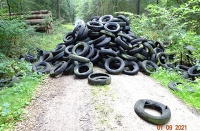 Polizeidirektion Bad Segeberg: POL-SE: Mönkloh - Altreifen in der Waldchaussee abgelagert