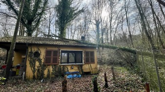 Feuerwehr Bochum: FW-BO: Entwurzelter Baum stürzt auf Haus