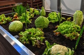 Messe Berlin GmbH: Grüne Woche 2018: Klimafreundliches Kleingärtnern - Naturnahe Musterparzelle der Berliner Gartenfreunde in der Blumenhalle 2.2