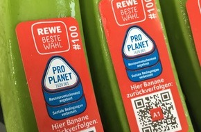 REWE Markt GmbH: Transparenz beim Bananeneinkauf: REWE führt Rückverfolgbarkeit bis zum Erzeugerbetrieb per QR-Code ein / Handelskonzern setzt auf höchste nachhaltige Standards beim Anbau