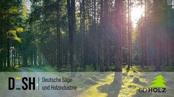 Deutsche Säge- und Holzindustrie Bundesverband e. V. (DeSH): Erweiterung ist ein Irrweg für den Klimaschutz