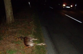 Polizeiinspektion Nienburg / Schaumburg: POL-NI: Wildwechsel - mit Beginn der dunklen Jahreszeit steigt das Risiko