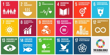 Pilot-Weltkonto e.V.: Es schneit echtes Geld für die UN Global Goals