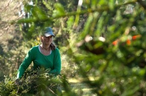 Bergwaldprojekt e.V.: Im Einsatz für die Artenvielfalt: Das Bergwaldprojekt mit über 10 Freiwilligen im Lechtal