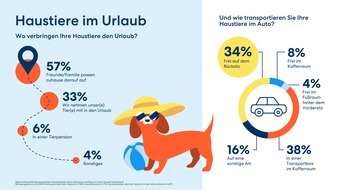 DA Direkt: Urlaubsfahrt mit Haustieren: Viele Tiere sind im Auto nicht ausreichend gesichert