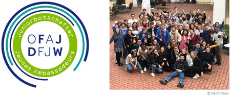 Deutsch-Französisches Jugendwerk (DFJW): 10 Jahre deutsch-französisches Engagement von jungen Menschen für junge Menschen