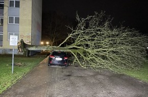 Feuerwehr Bremerhaven: FW Bremerhaven: Baum auf Auto