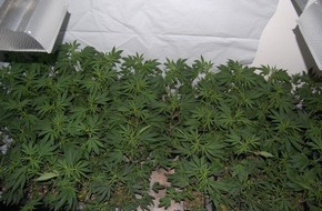 Polizeiinspektion Hameln-Pyrmont/Holzminden: POL-HM: Polizei entdeckt Indoor-Plantage / Zufallsfund bei Wohnungsdurchsuchung