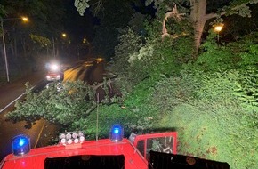 Freiwillige Feuerwehr Celle: FW Celle: Baum auf Fahrbahn