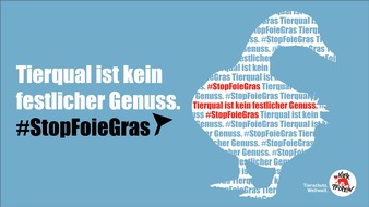 VIER PFOTEN - Stiftung für Tierschutz: Tierqual ist kein festlicher Genuss. #StopFoieGras