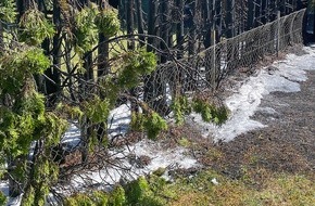 Feuerwehr München: FW-M: Heckenbrand im Garten (Obermenzing)