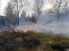 FW Horn-Bad Meinberg: Waldbrand zerstört 2 Hektar Wald- und Heidefläche - bis zu 150 Kräfte im Großeinsatz