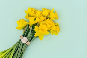La imagen del mes: ¡Relojes para el nido de Pascua!