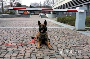 Polizeipräsidium Westpfalz: POL-PPWP: Entwarnung nach Bombendrohung