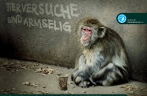 Deutscher Tierschutzbund e.V.: Neue Beweise: Forschungseinrichtungen in Deutschland an brutalem Fang und Handel von Affen für Tierversuche beteiligt