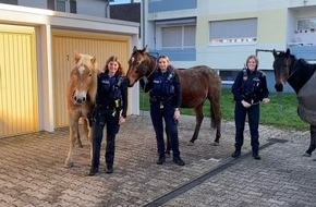 Polizeipräsidium Rheinpfalz: POL-PPRP: Pferde auf Abwege