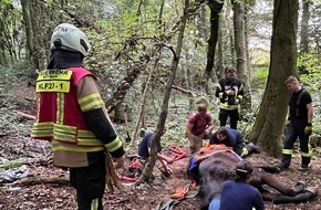 Feuerwehr Mettmann: FW Mettmann: Feuerwehr Mettmann muss aufwendig Großtier aus misslicher Lage befreien.