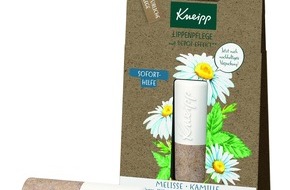 Kneipp GmbH: Verpackungslösung aus Silphie-Papier: Faltschachteln für Kneipp Lippenpflege werden noch nachhaltiger