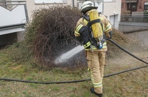 Freiwillige Feuerwehr Menden: FW Menden: Busch brannte am Gebäude
