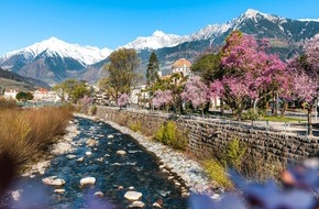 Hotel Westend ***: Frühling in Meran, wo glitzernder Schnee und mediterranes Klima aufeinandertreffen