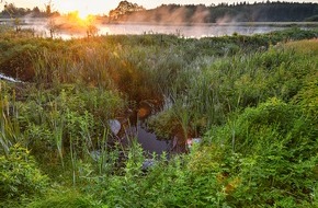 Heinz Sielmann Stiftung: Landkreis Sigmaringen: Preisgekrönter Weiher zieht sensationell viele seltene Libellen an