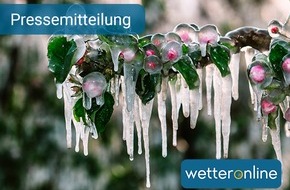WetterOnline Meteorologische Dienstleistungen GmbH: Obstbäume: Eis als Frostschutz - Paradox, aber wirksam