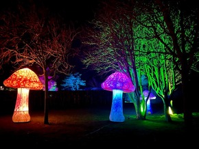 SPO leuchtet - Licht trifft Lyrik und Biikebrennen in St. Peter-Ording