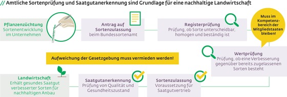 Bundesverband Deutscher Pflanzenzüchter e.V. (BDP): Europäisches Saatgutrecht: Die bewährten Grundsätze sind zu erhalten / Fairer Saatgutmarkt und hohe Saatgutqualität müssen bei einer Reform Priorität bleiben