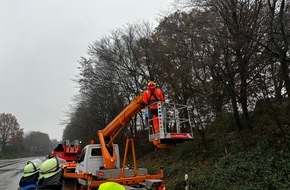 Feuerwehr Schermbeck: FW-Schermbeck: Baum droht auf Fahrbahn zu stürzen