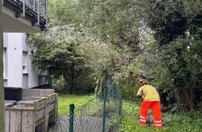 Freiwillige Feuerwehr Alpen: FW Alpen: Ast lehnte gegen Hauswand