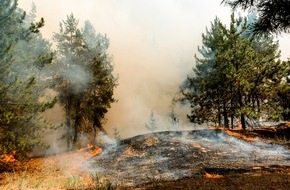 WetterOnline Meteorologische Dienstleistungen GmbH: Waldbrandgefahr spitzt sich weiter zu