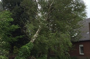 Freiwillige Feuerwehr Bedburg-Hau: FW-KLE: Baum drohte auf Haus zu stürzen. Sturmböen führten zu Feuerwehreinsätzen.