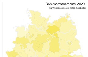 Deutscher Imkerbund e.V.: Honigernte in Deutschland durchschnittlich / Klimaveränderungen machen sich auch in der Imkerei bemerkbar
