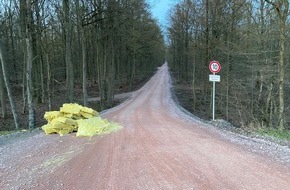 Polizeipräsidium Offenburg: POL-OG: Offenburg - Widerrechtlich entsorgt