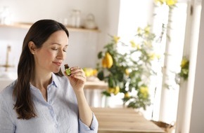 PRIMAVERA LIFE: Duftlampe und Atemmeditation: Wie ätherische Öle in stressigen Zeiten für innere Balance sorgen
