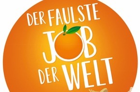 Valensina GmbH: Bewerber gesucht: Der faulste Job der Welt