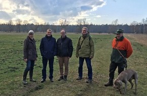 Deutsche Bundesstiftung Umwelt (DBU): Moorschutz im DBU-Naturerbe Gelbensander Forst