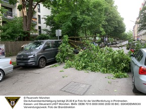 FW-M: Herabfallender Ast beschädigt mehrere Fahrzeuge (Neuhausen)