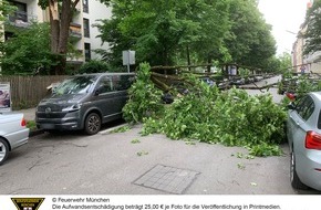 Feuerwehr München: FW-M: Herabfallender Ast beschädigt mehrere Fahrzeuge (Neuhausen)