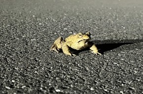 Polizeidirektion Neustadt/Weinstra&szlig;e: POL-PDNW: Polizei setzt Zeichen f&uuml;r Natur- und Artenschutz