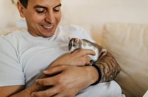 ZZF – Zentralverband der Heimtierbranche e.V.: ZZF ernennt die Farbratte zum Heimtier des Jahres 2025