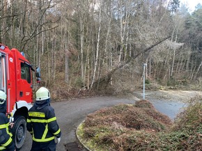FW-MK: Umgestürzte Bäume durch Windböen